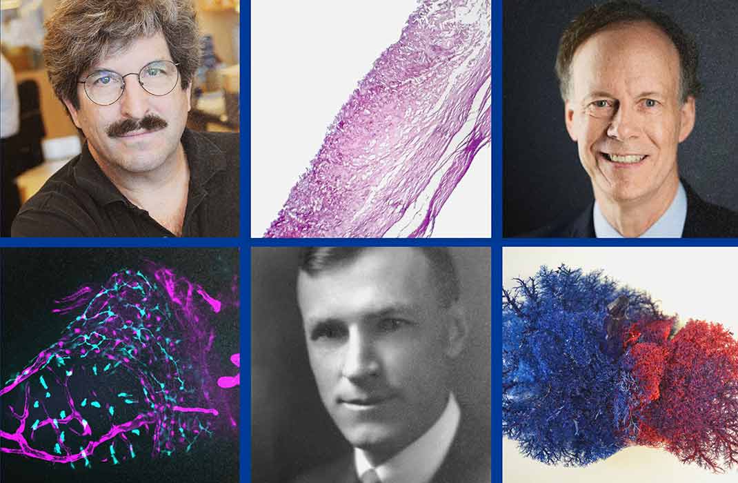 Photos of Nobel prize winners and their research.