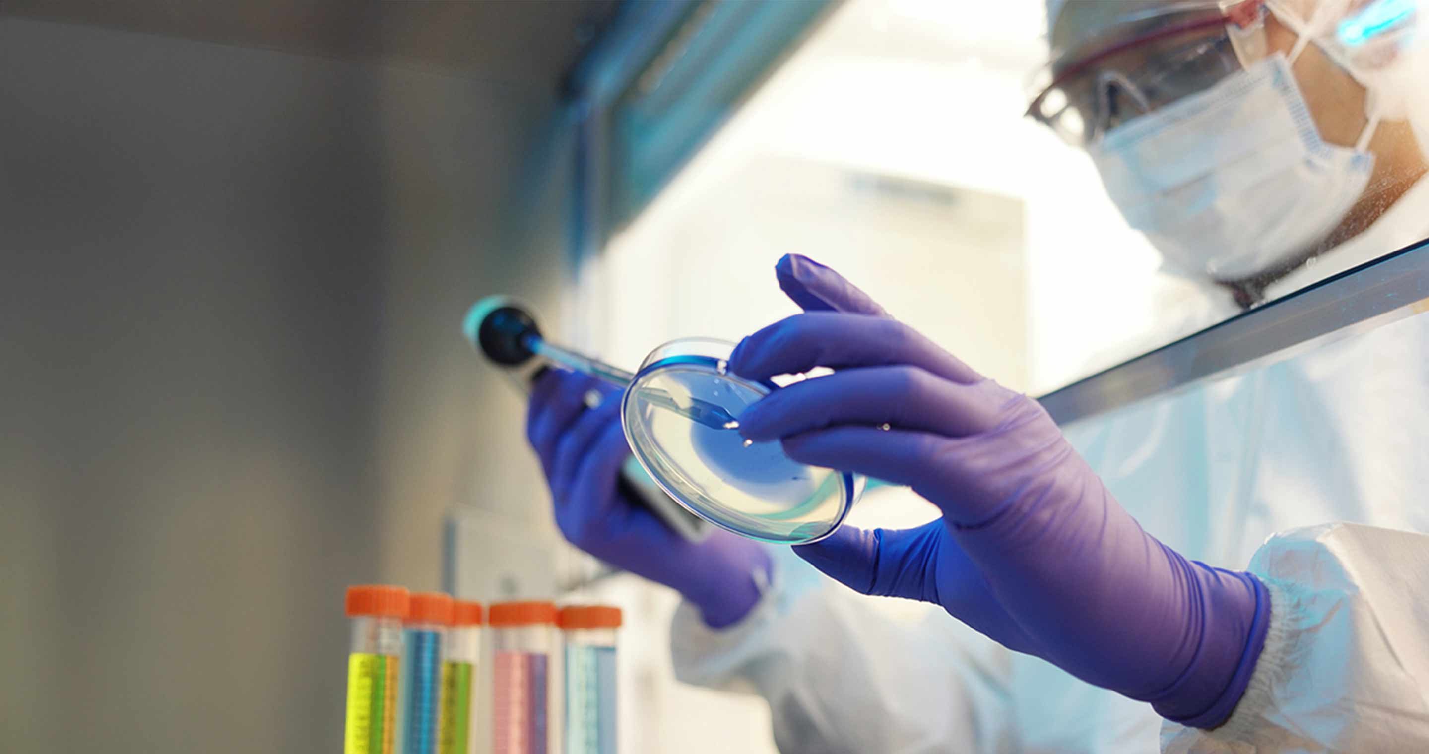 Researcher pipetting a sample into a dish in a lab.