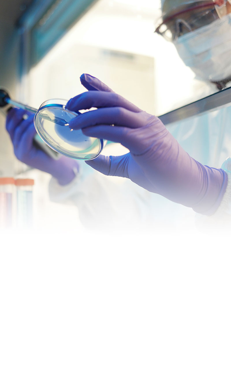 Researcher pipetting a sample into a dish in a lab.