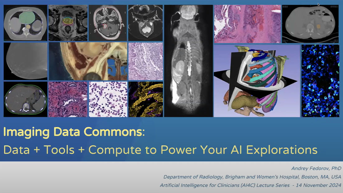 Collage of scientific photos from the Imaging Data Commons.