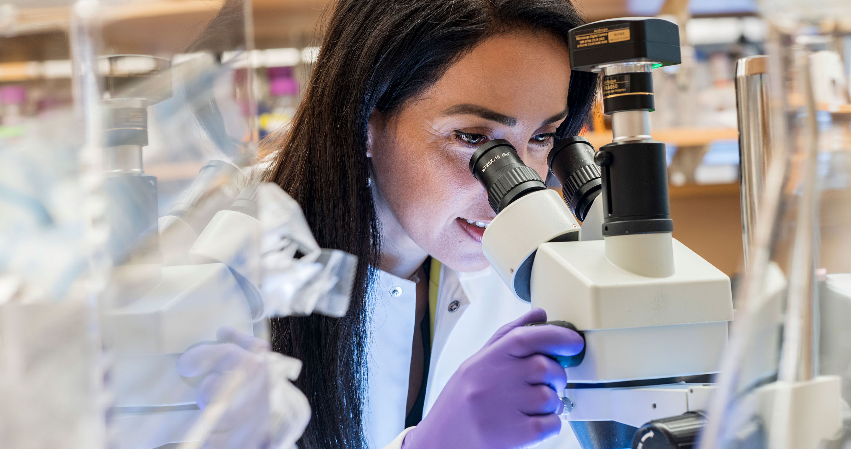 A female scientist peers into a microscope.